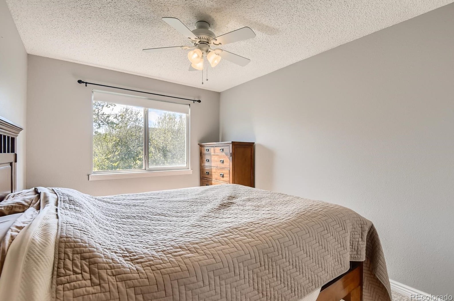 8873 Miners Dr, Littleton CO 80126-5023 exterior