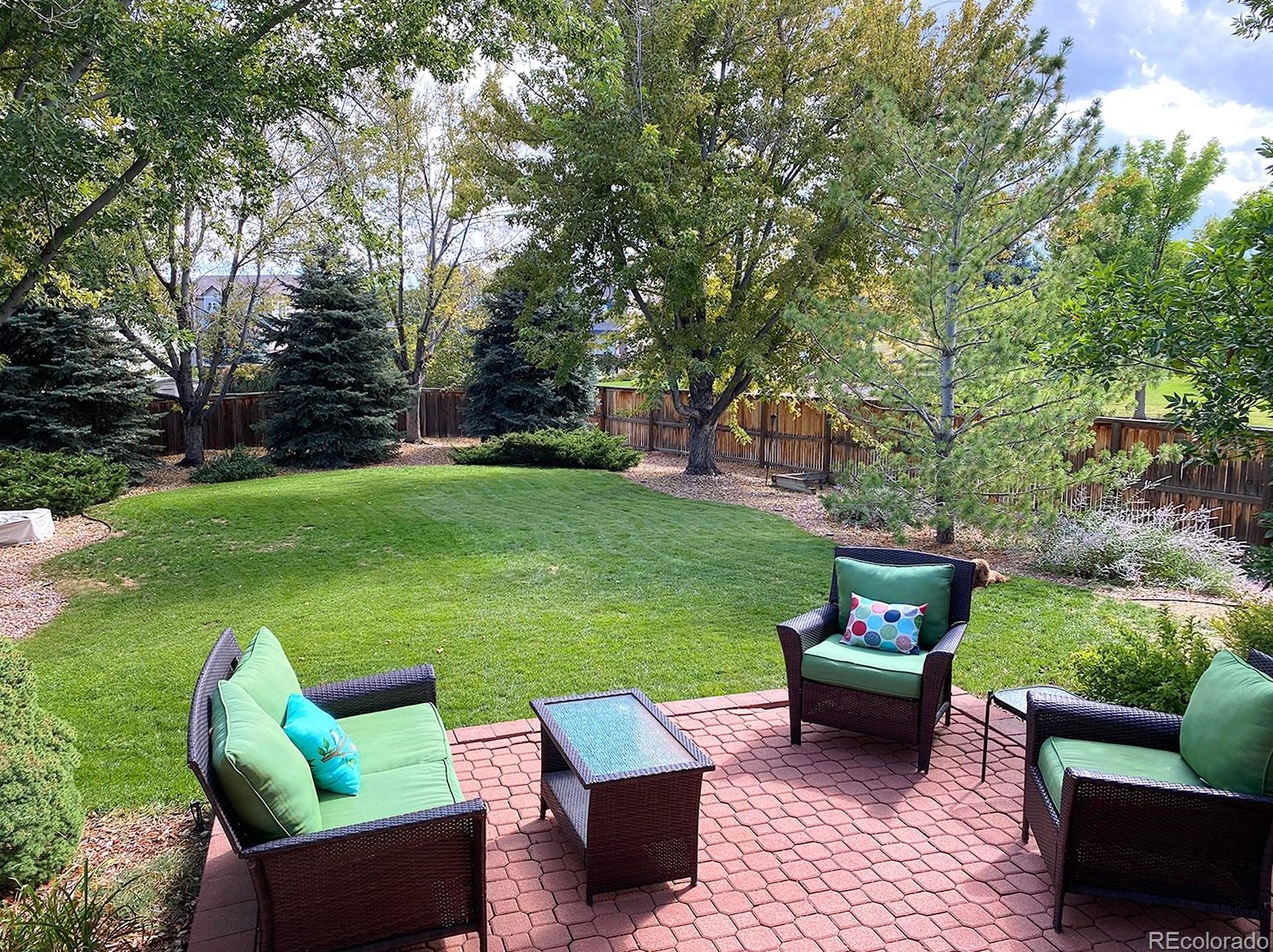 10542 Tiger Chase, Littleton CO  80124-9584 exterior