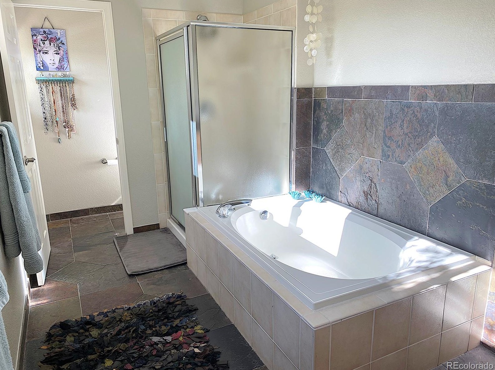 10542 Tiger Chase, Littleton CO  80124-9584 exterior