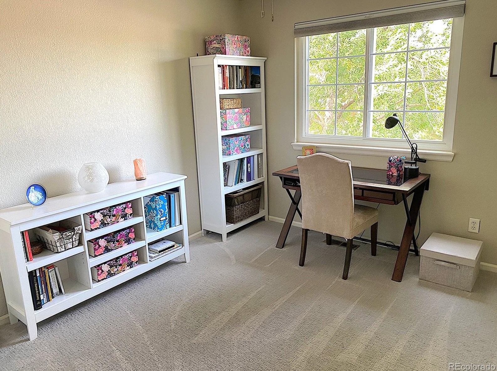 10542 Tiger Chase, Littleton CO  80124-9584 exterior