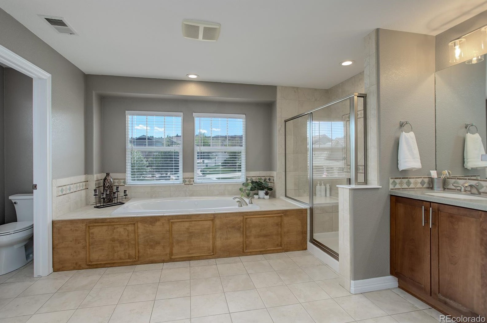 1720 Ridgetrail Ct, Castle Rock CO  80104-7697 exterior