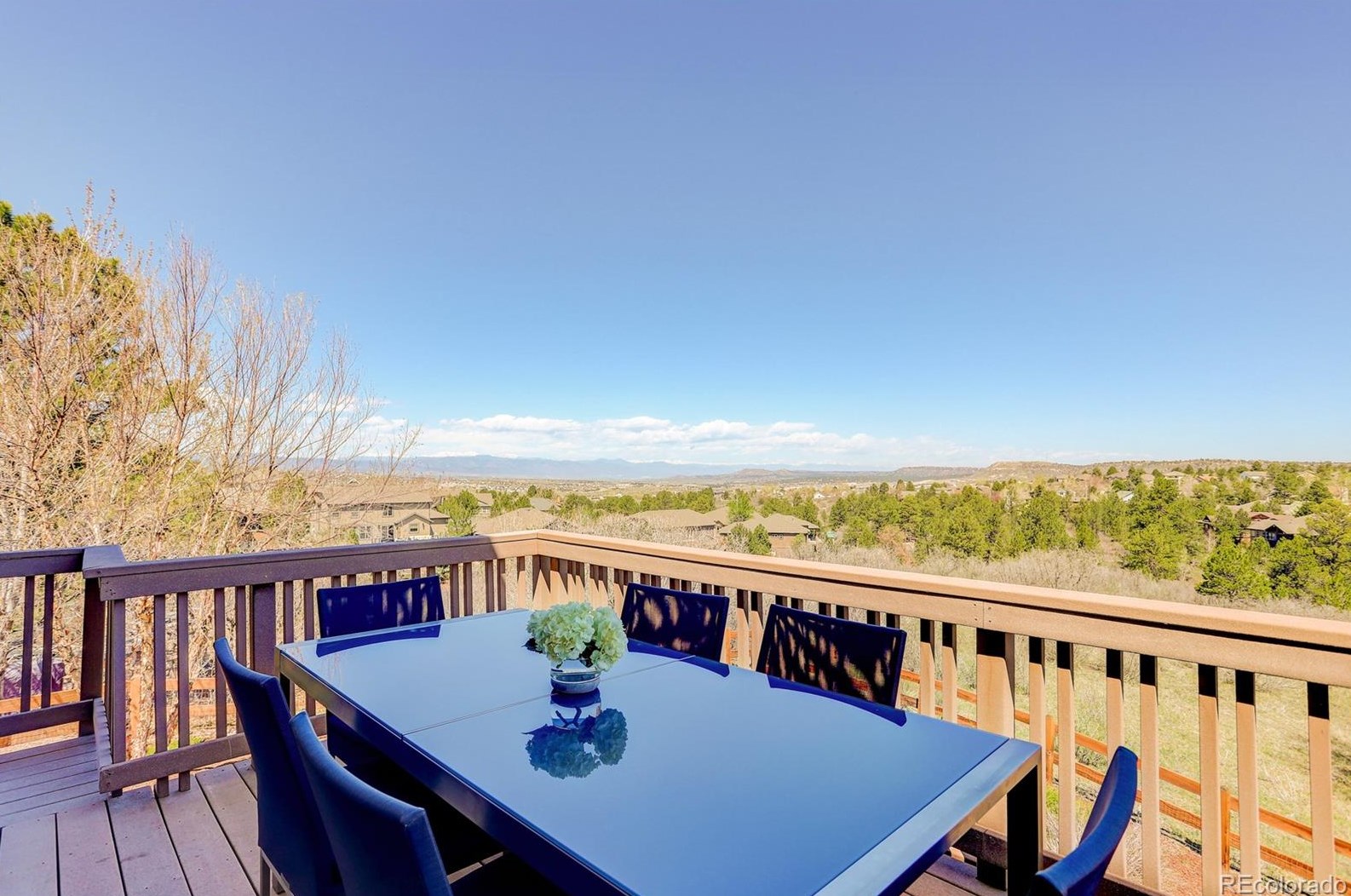 1720 Ridgetrail Ct, Castle Rock CO  80104-7697 exterior