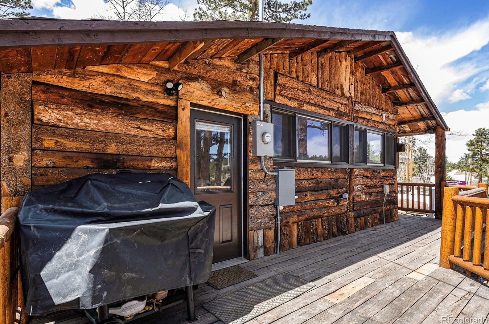 25 Washington St, Allenspark, CO 80510