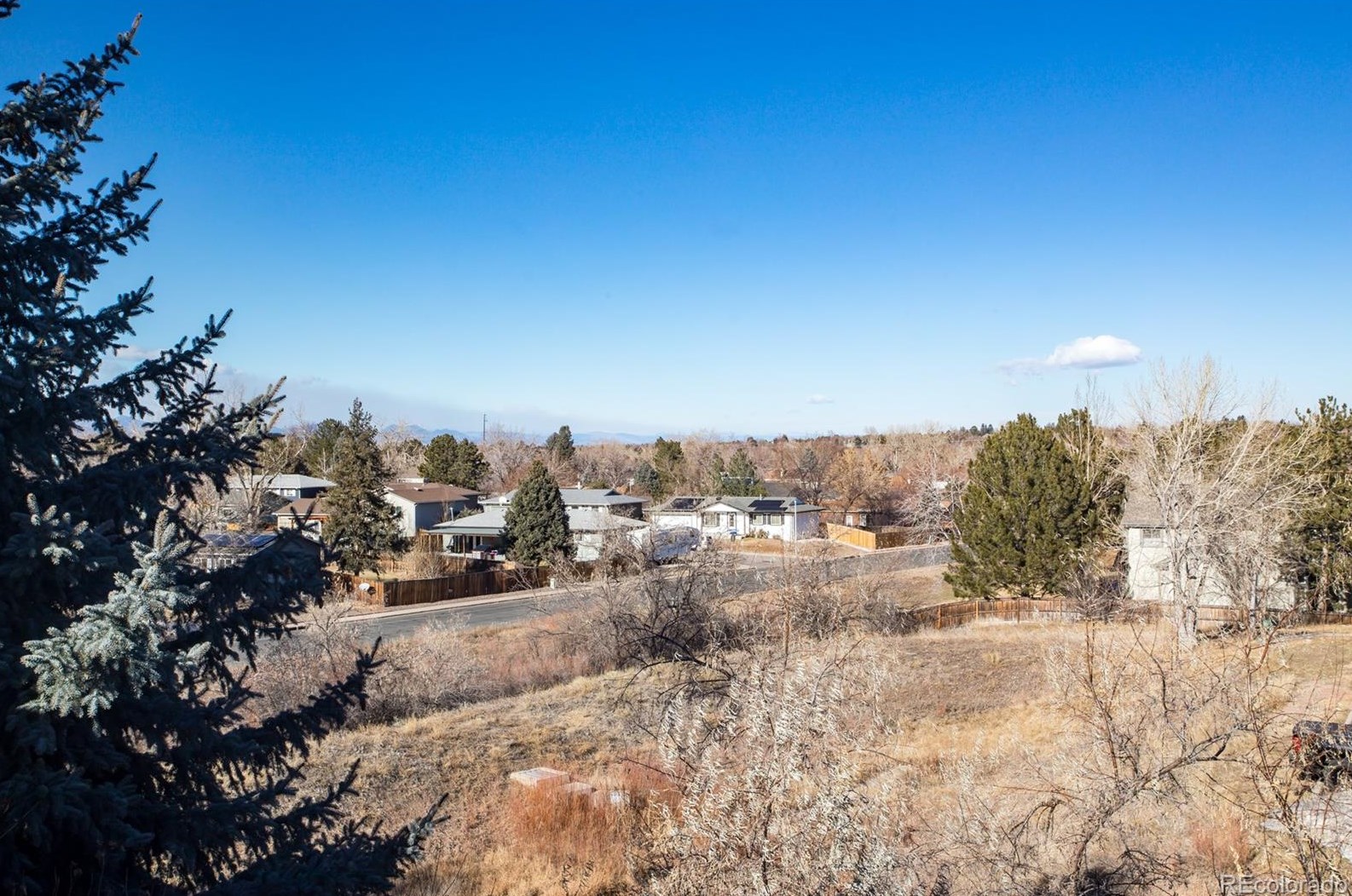 6607 Forest Way, Littleton CO 80121-3566 exterior