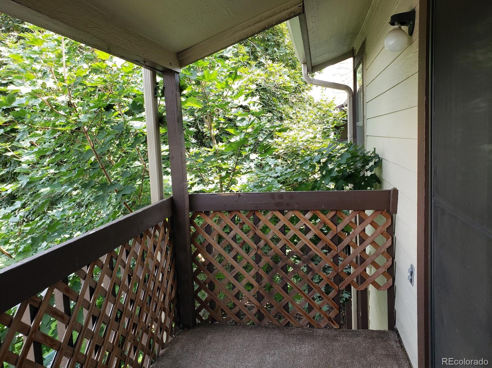 7760 87th Dr, Arvada CO  80005-1656 exterior