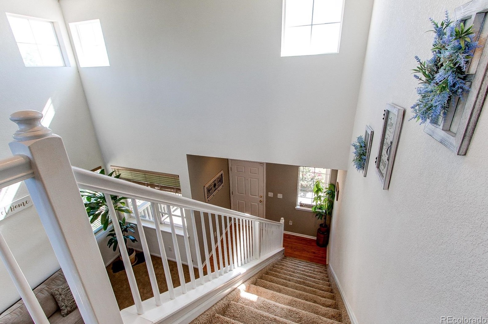 6685 Shannock Ave, Castle Rock CO  80104-8713 exterior