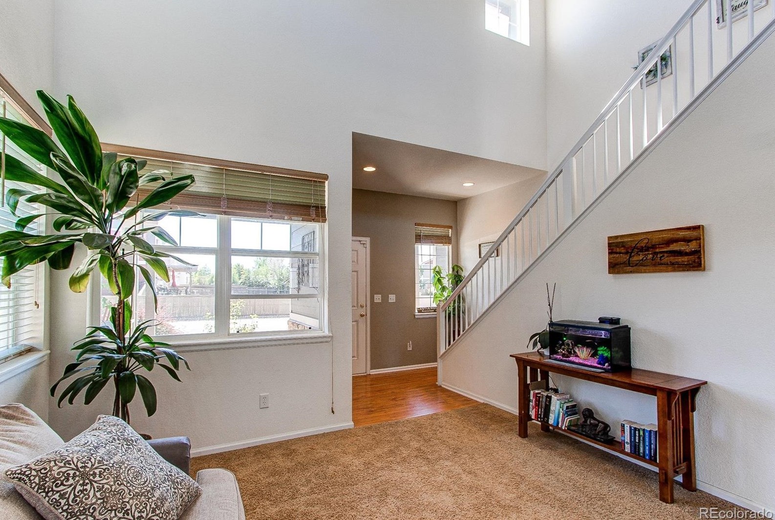 6685 Shannock Ave, Castle Rock CO  80104-8713 exterior