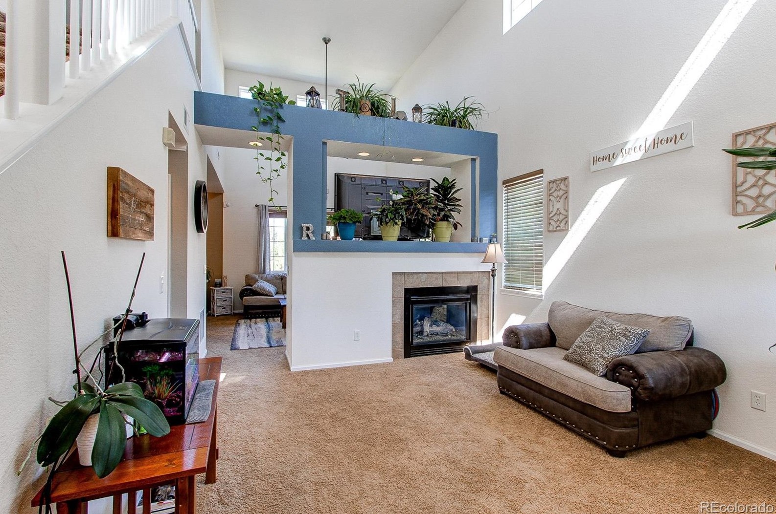 6685 Shannock Ave, Castle Rock CO  80104-8713 exterior