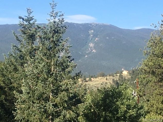 85 Mable Ln, Bailey, CO 80421-1848