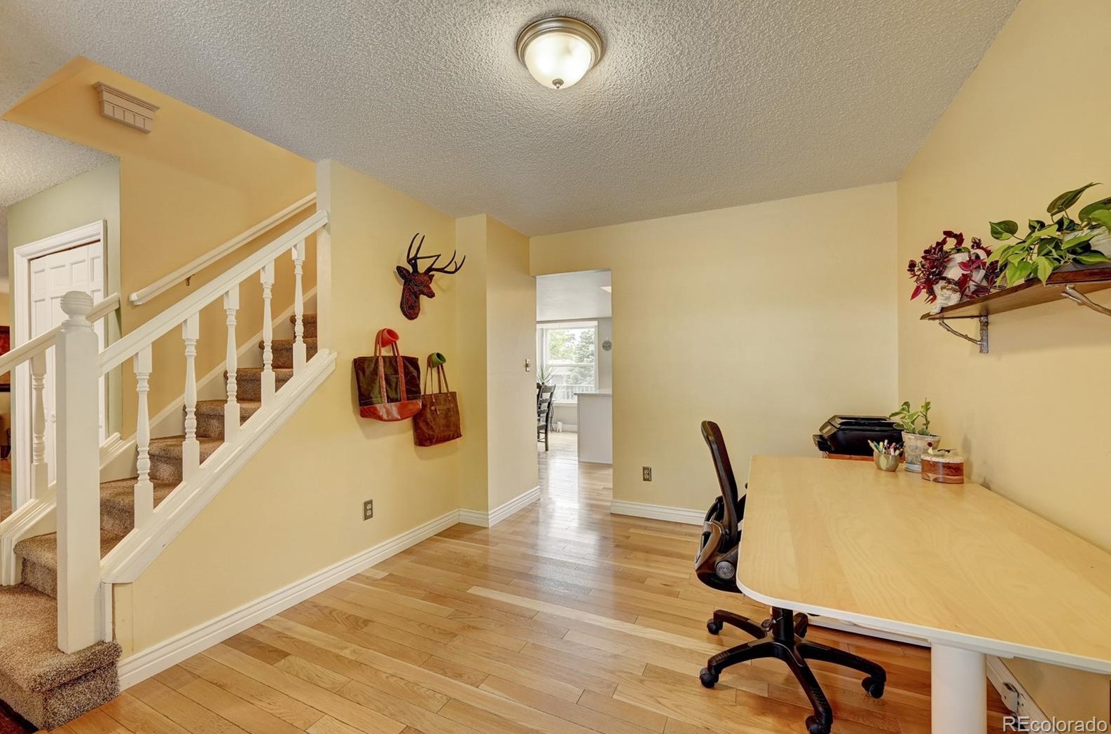 11402 Berry Ave, Littleton CO 80127-1837 exterior