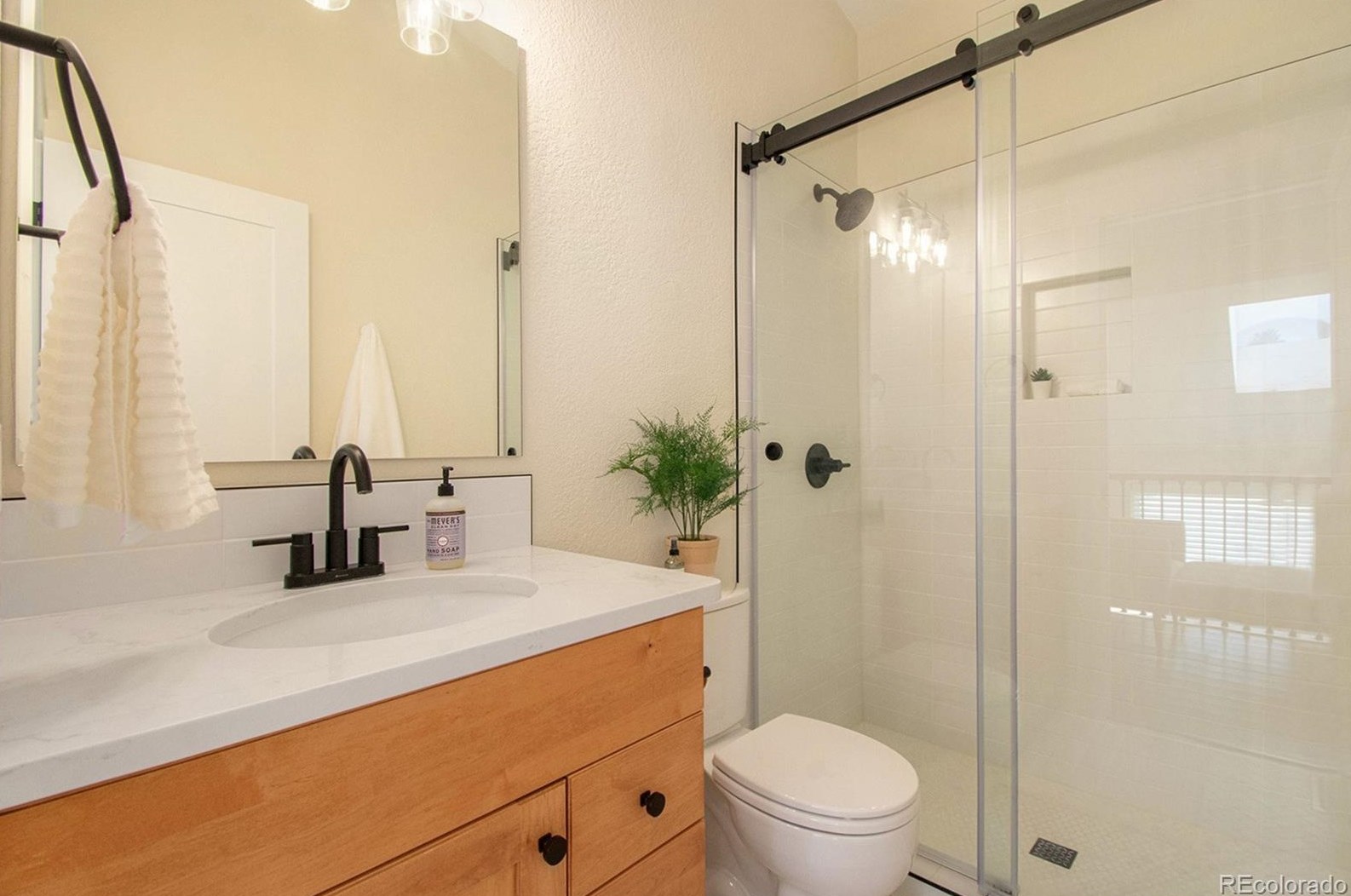 938 Summer Dr, Littleton CO  80126-4801 exterior