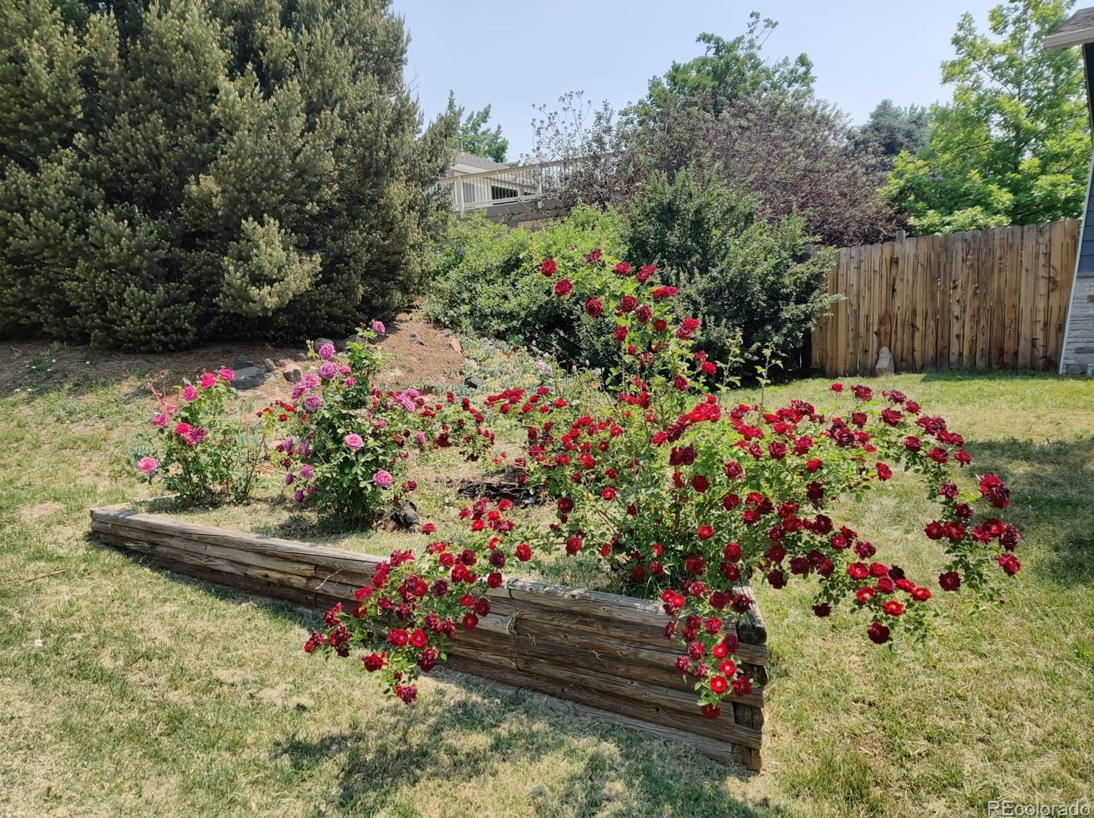 8354 Brentwood St, Littleton CO  80128-6116 exterior