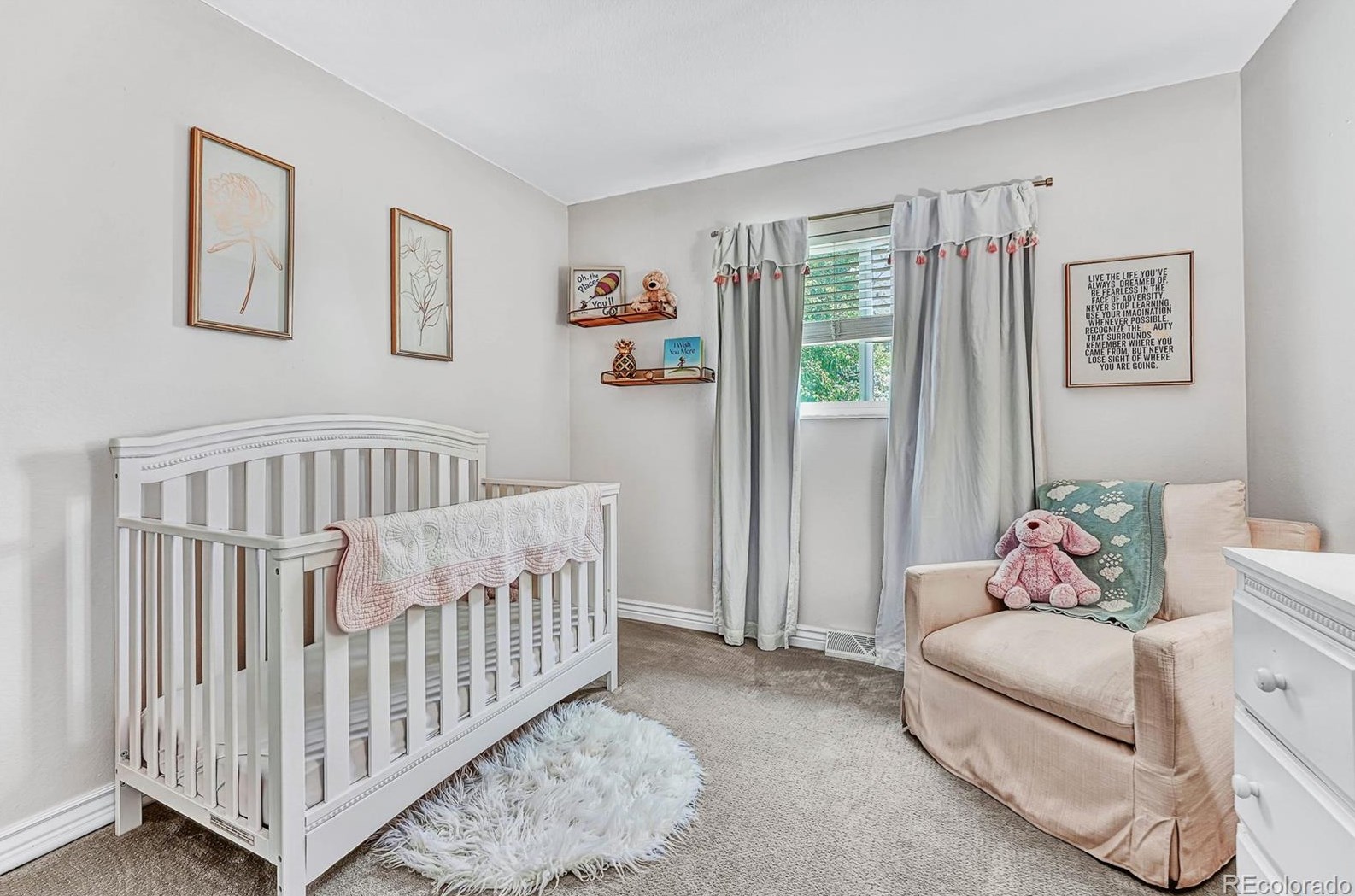 6496 Dexter St, Littleton CO 80122-2341 exterior