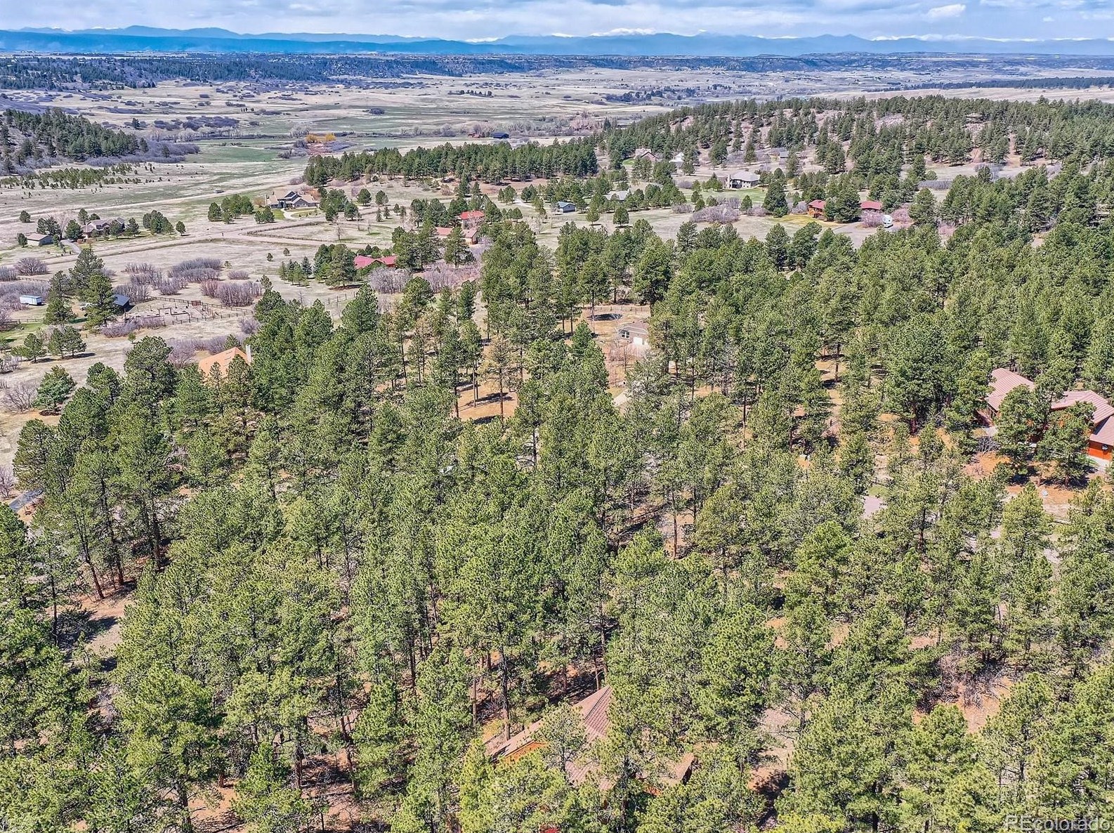 304 Staghorn Way, Franktown, CO 80116
