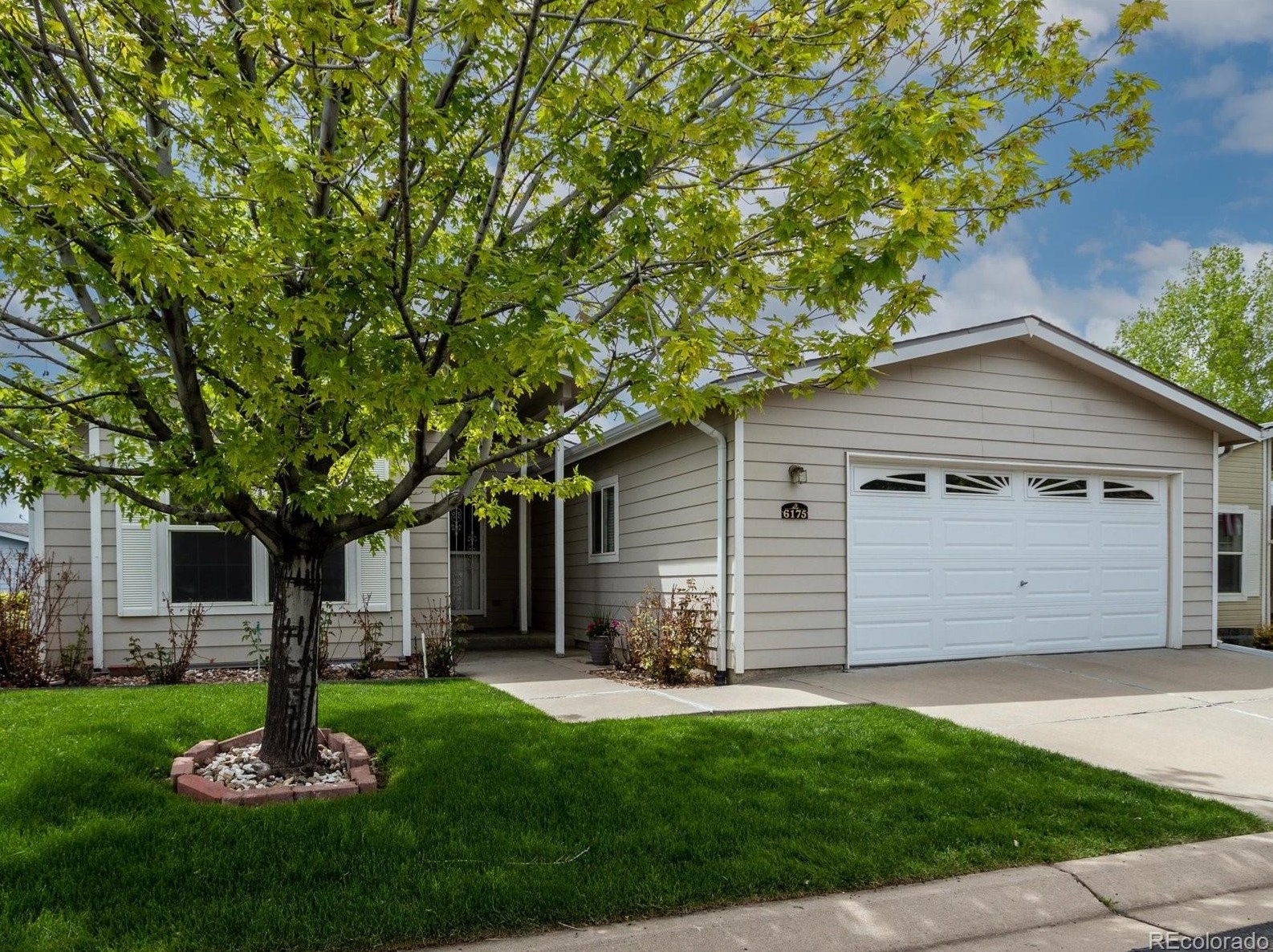 6175 Needlegrass Green, Longmont, CO 80530