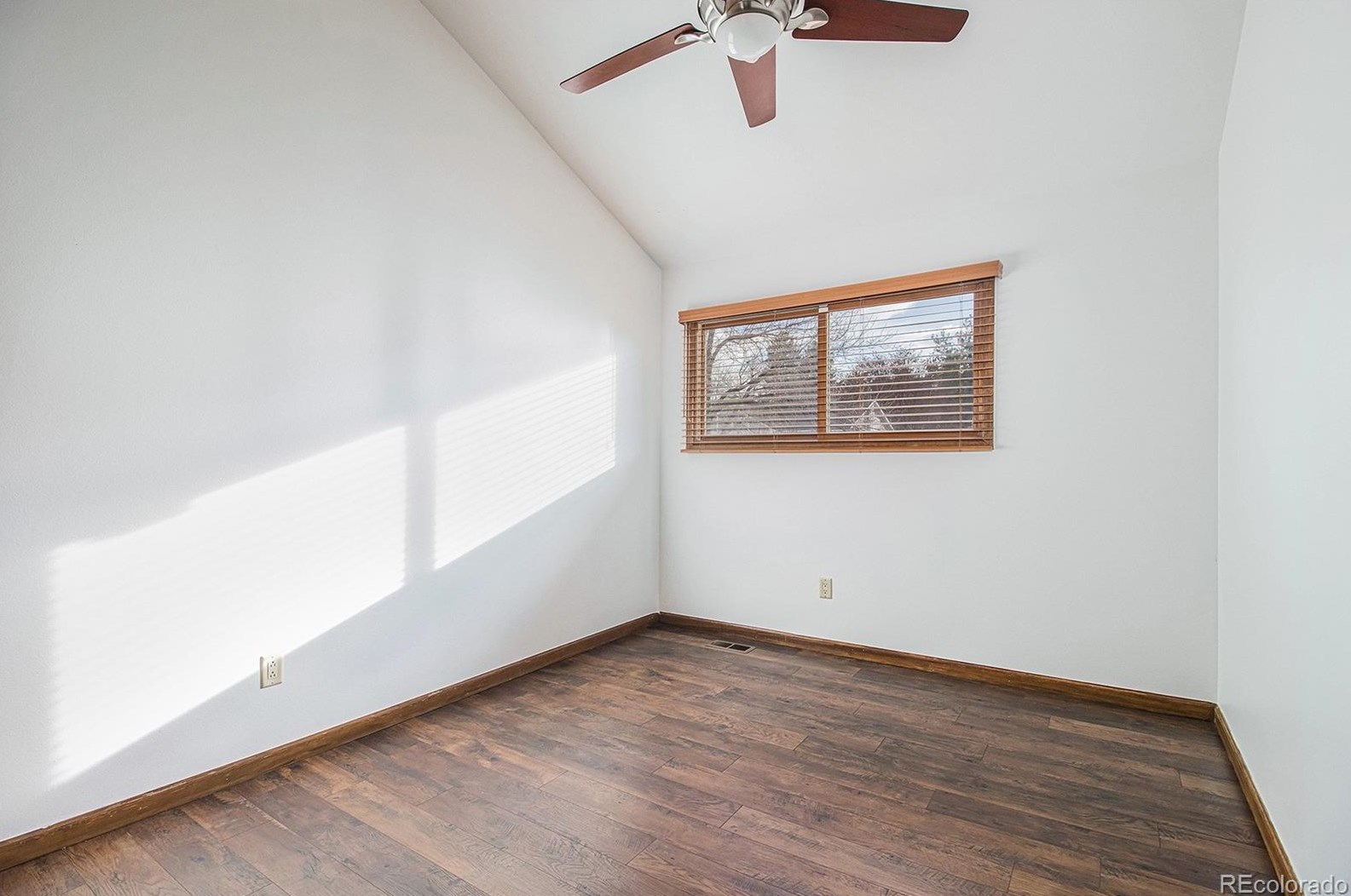 8217 Lodgepole Trl, Littleton CO 80124-3003 exterior