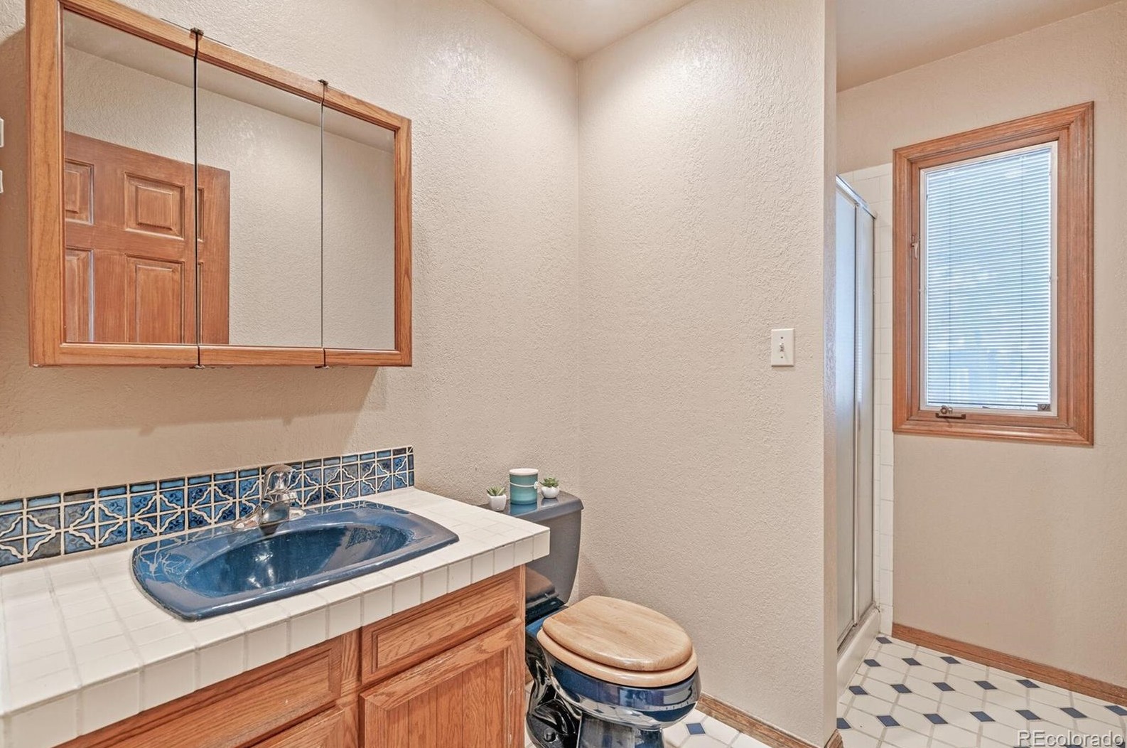 7287 Torrey St, Arvada CO  80007-7618 exterior