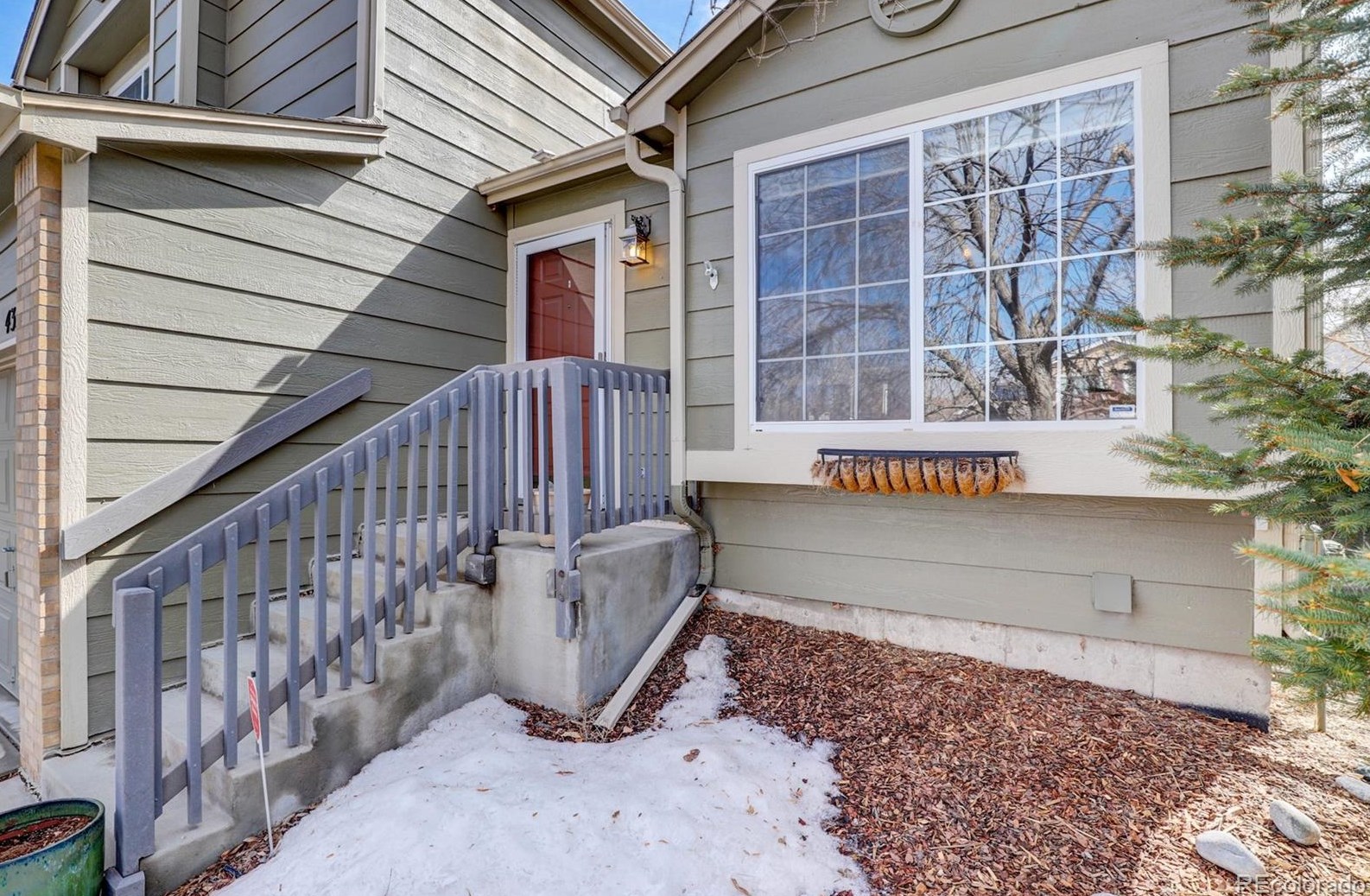 4356 Bennington Ave, Castle Rock CO  80104-8581 exterior