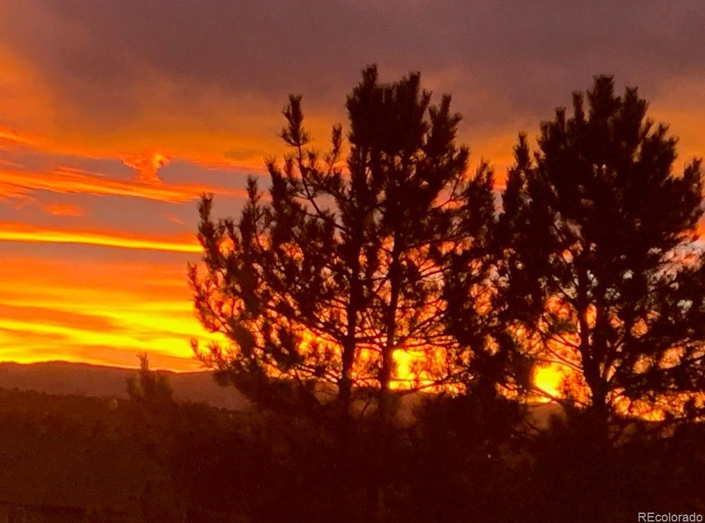 8566 Gold Peak Dr, Littleton CO 80130-7131 exterior