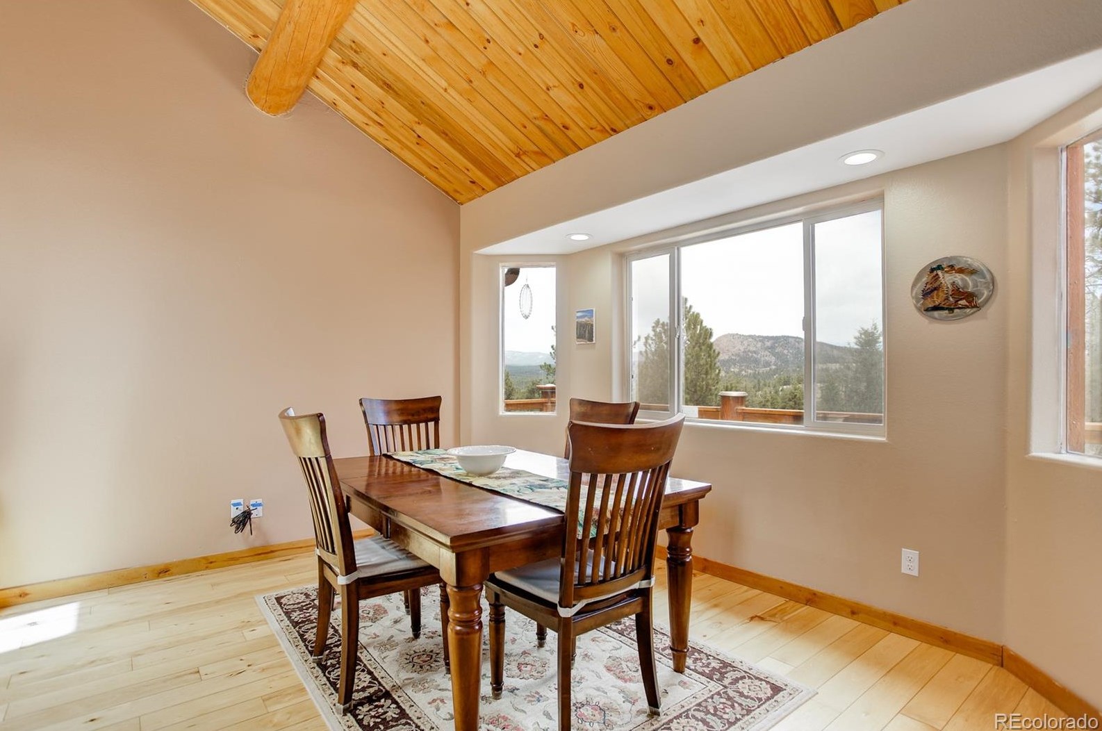 266 Random Rd, Bailey, CO 80421-1316
