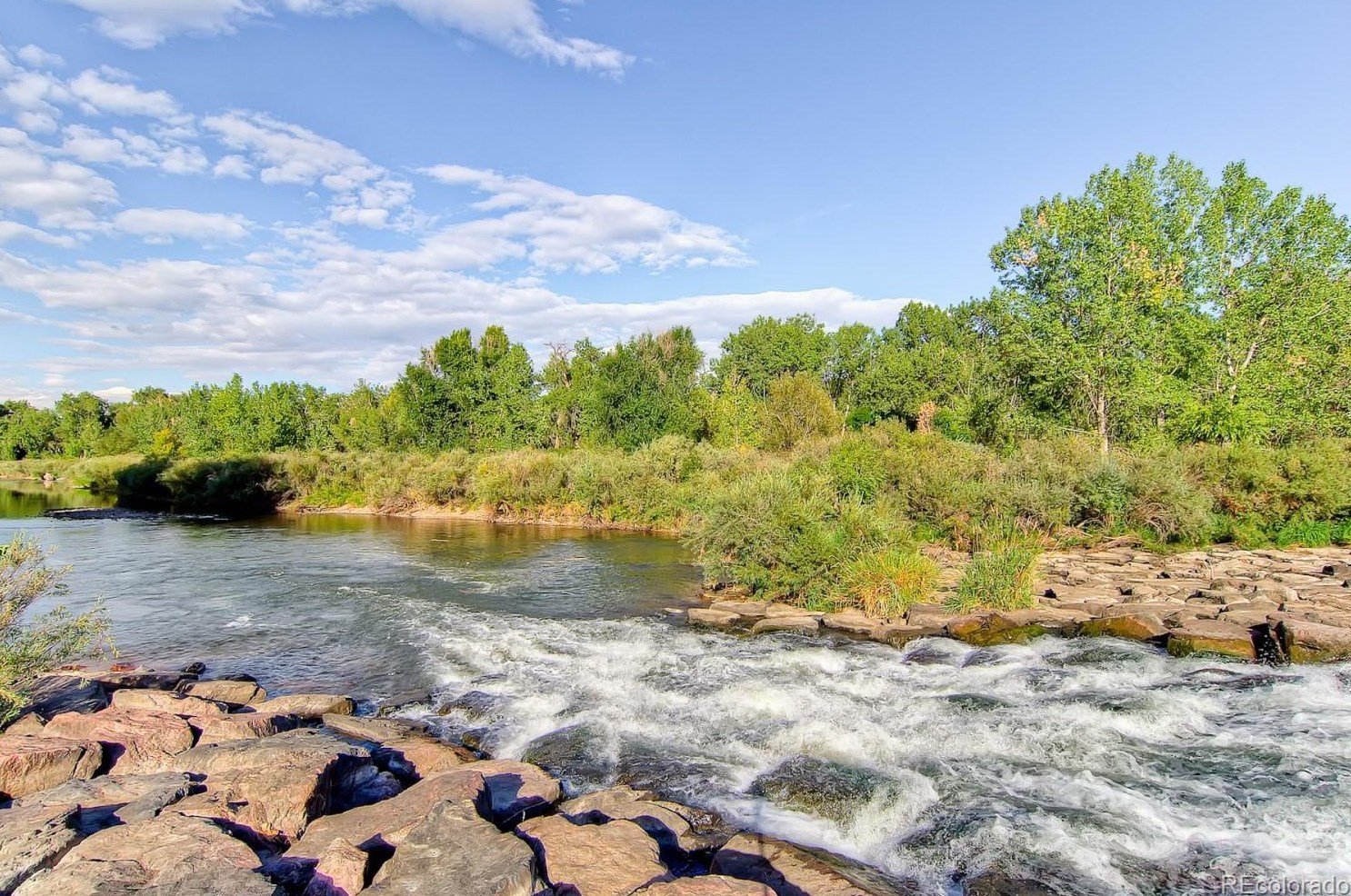 5161 Quarles Dr, Littleton CO  80128-6417 exterior