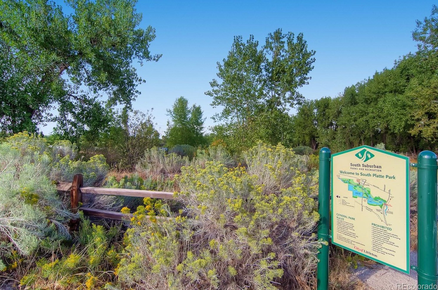 5161 Quarles Dr, Littleton CO  80128-6417 exterior