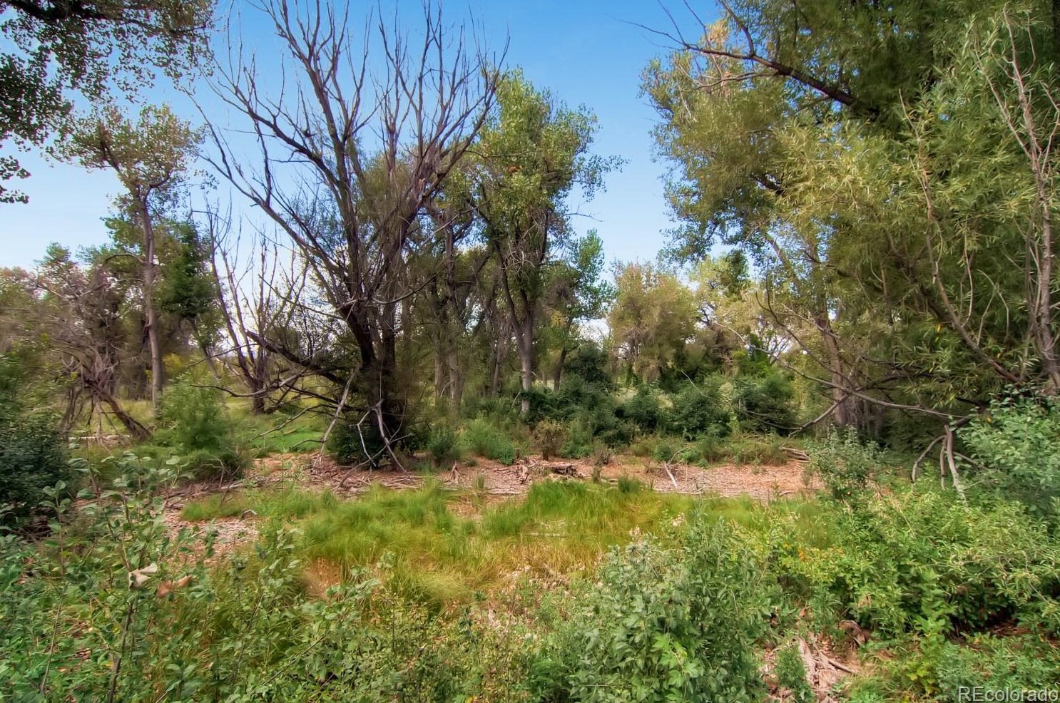 5161 Quarles Dr, Littleton CO  80128-6417 exterior