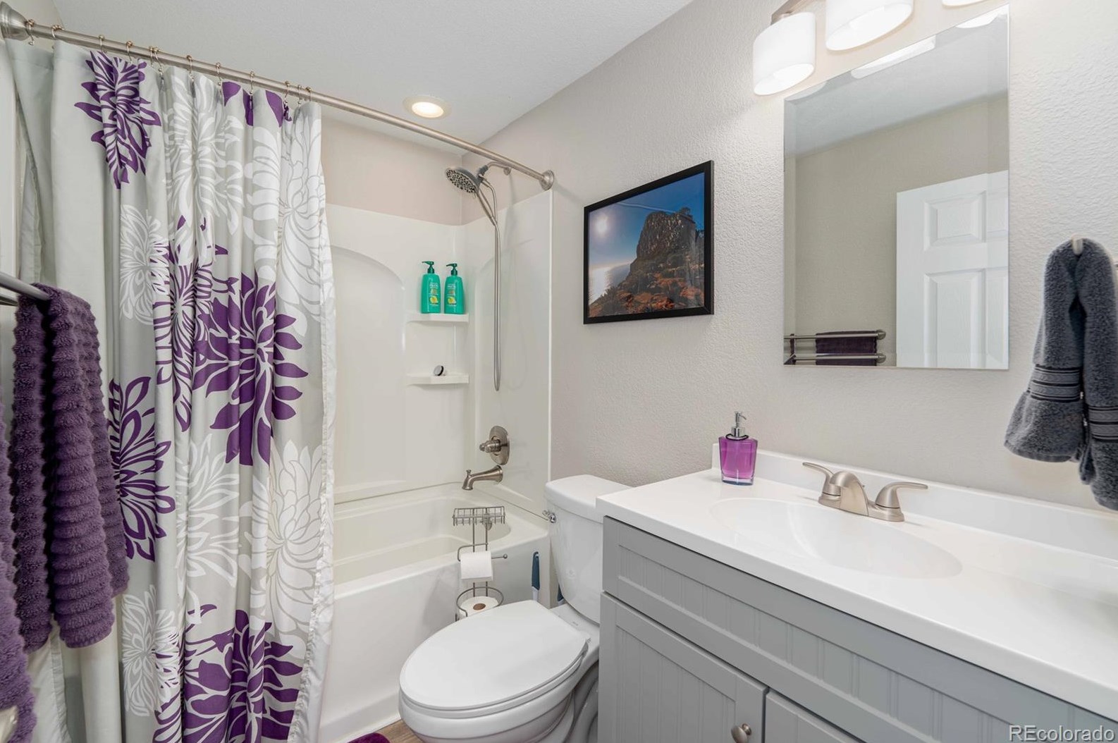 5584 Chambray Ct, Littleton CO  80130-4402 exterior