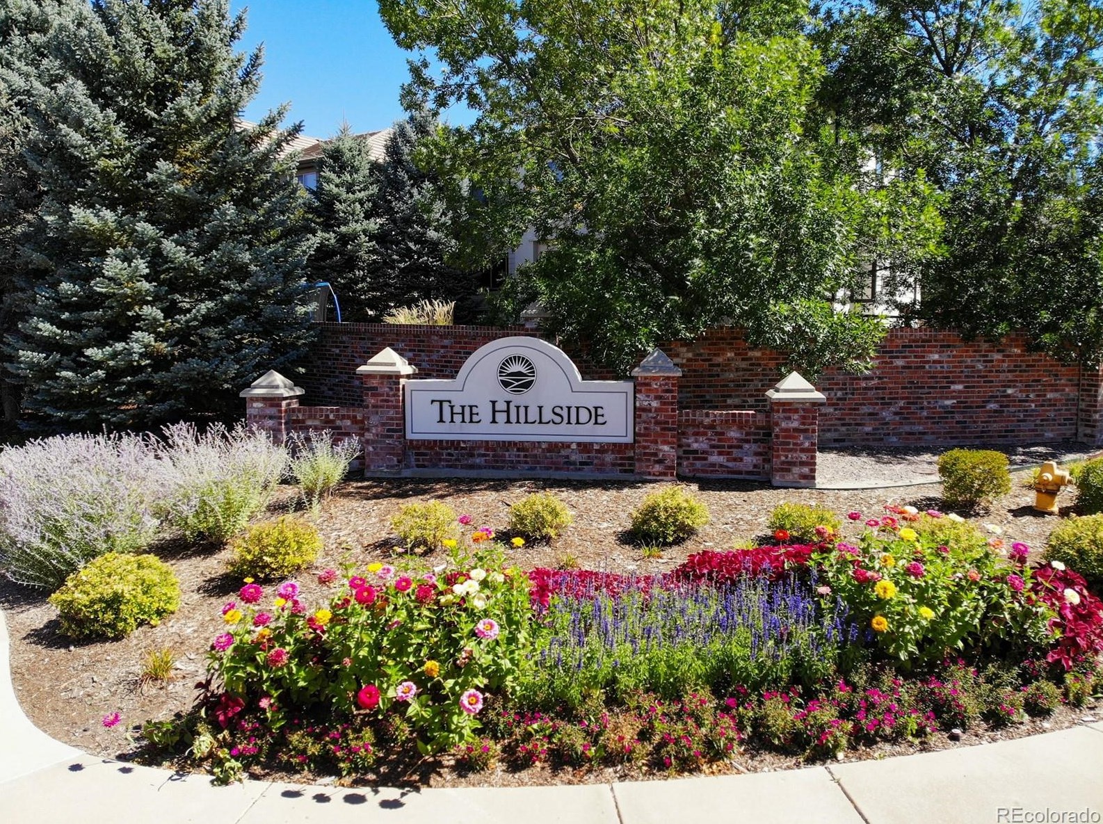 9670 Sunset Hill Dr, Littleton CO 80124-6719 exterior
