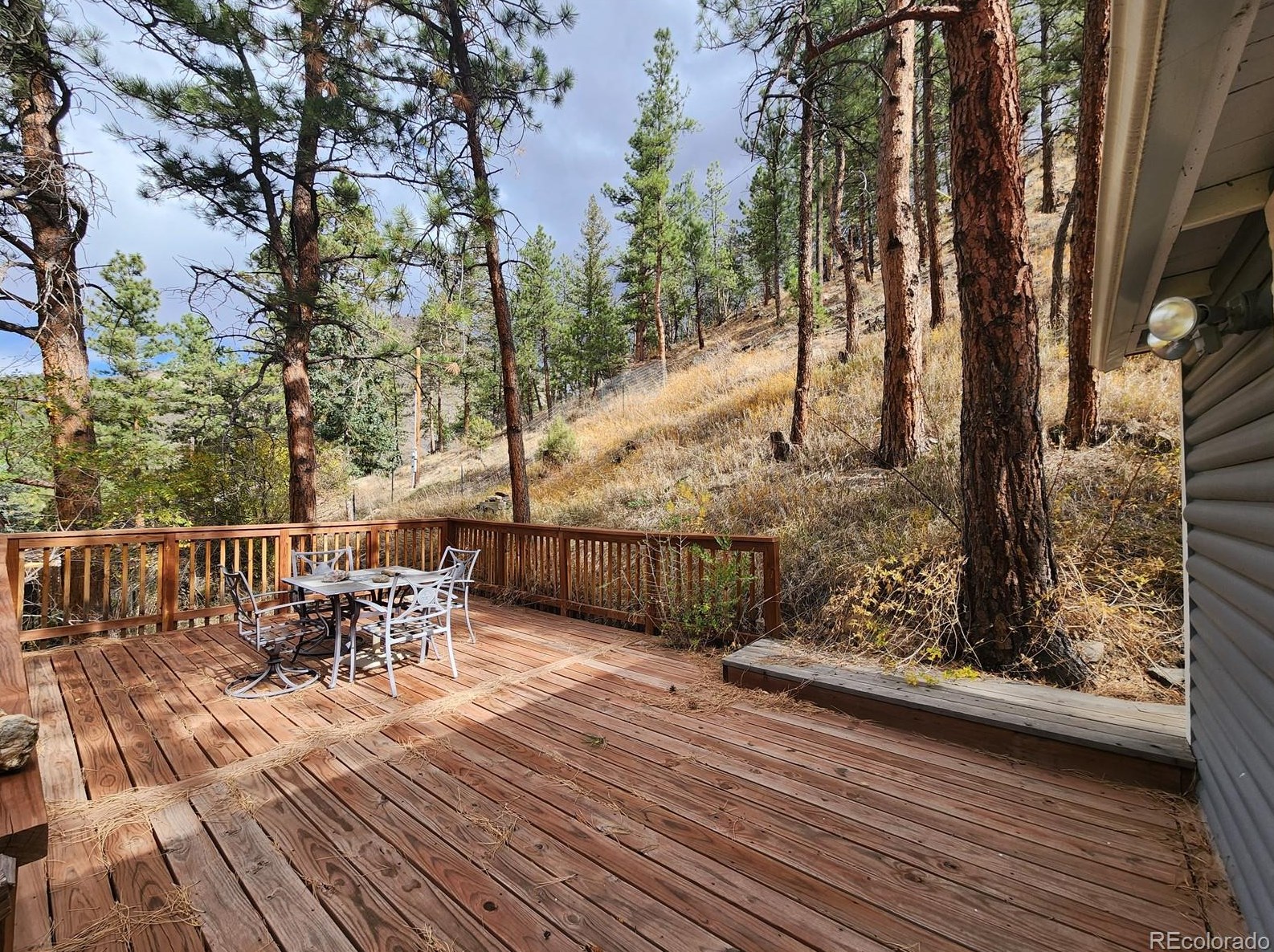 100 Falls Creek Dr, Bellvue, CO 80512
