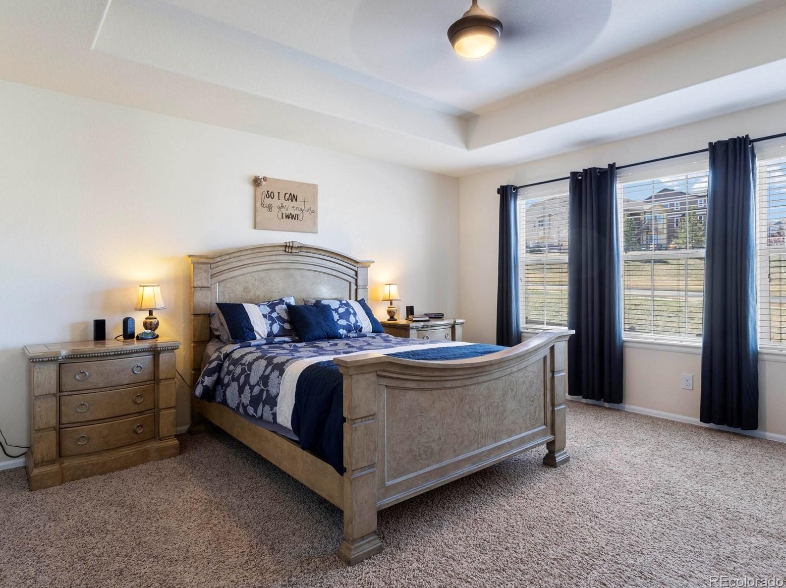 2584 Ambience Ln, Castle Rock CO  80109-3753 exterior