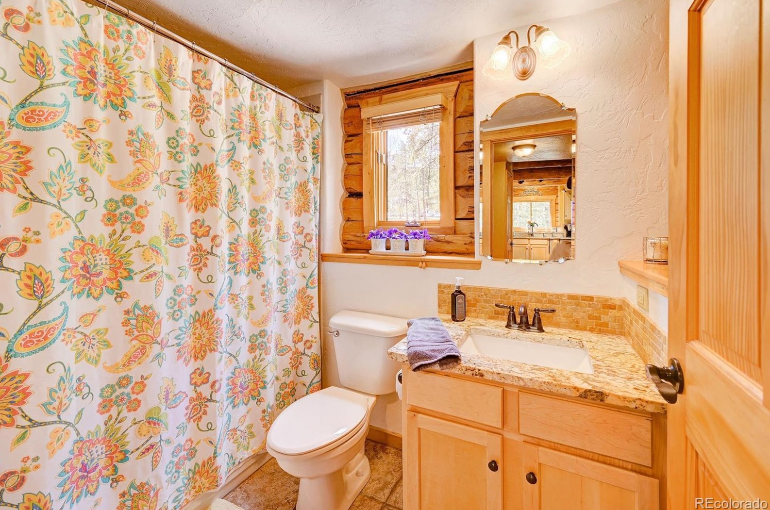 58 Conestoga Ct, Bailey CO  80421-2335 exterior