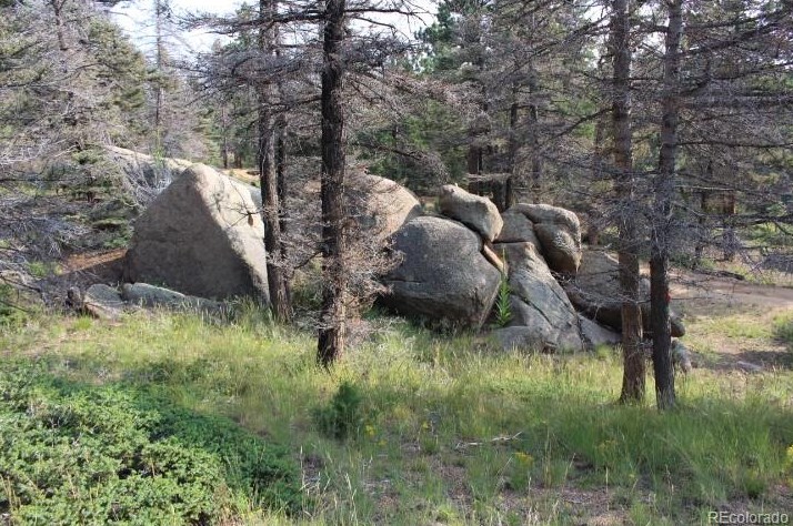 160 Nuthatch Dr, Cotopaxi, CO 81223