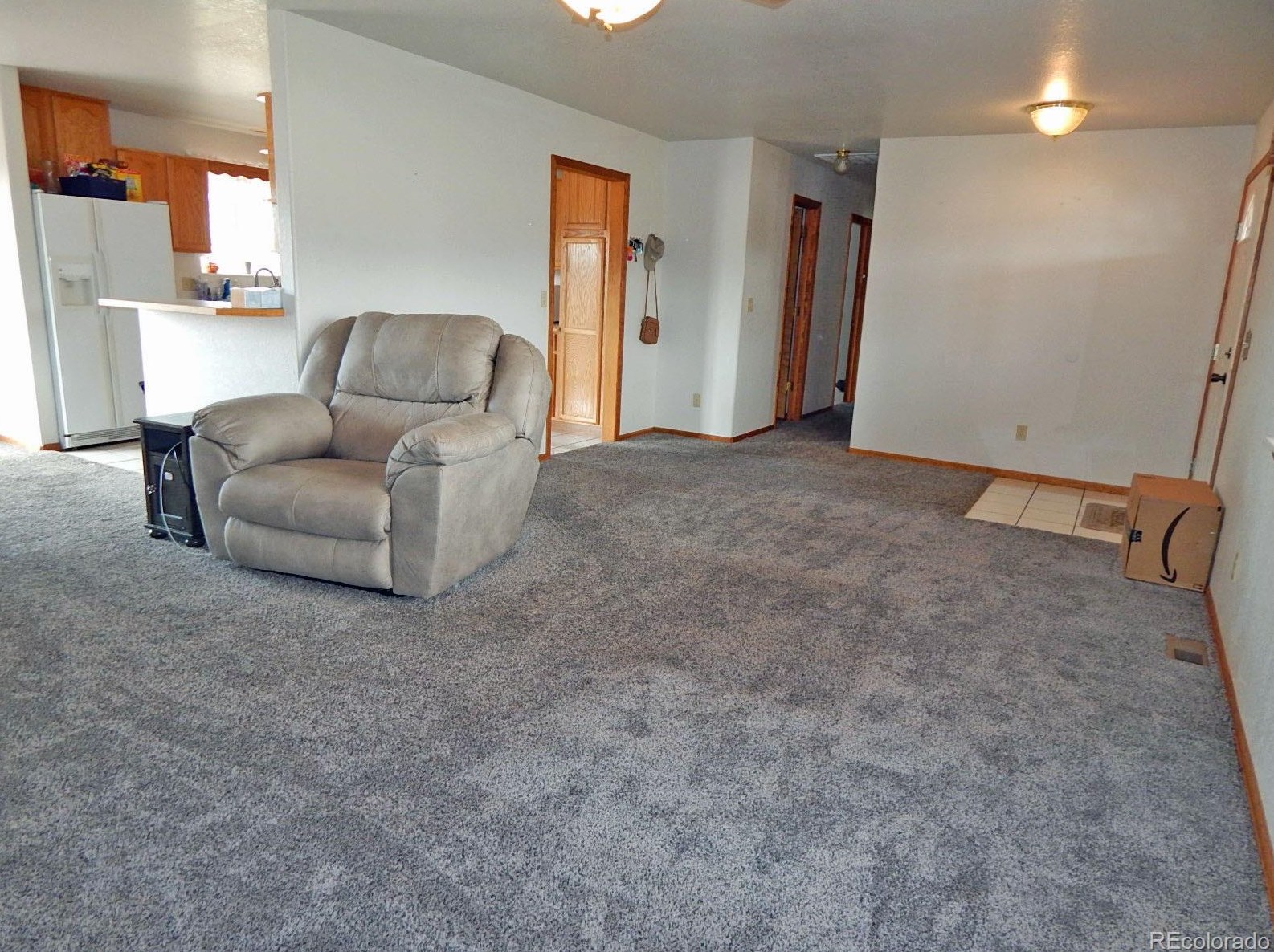 91 Connie Dr, Buena Vista, CO 81211-9170