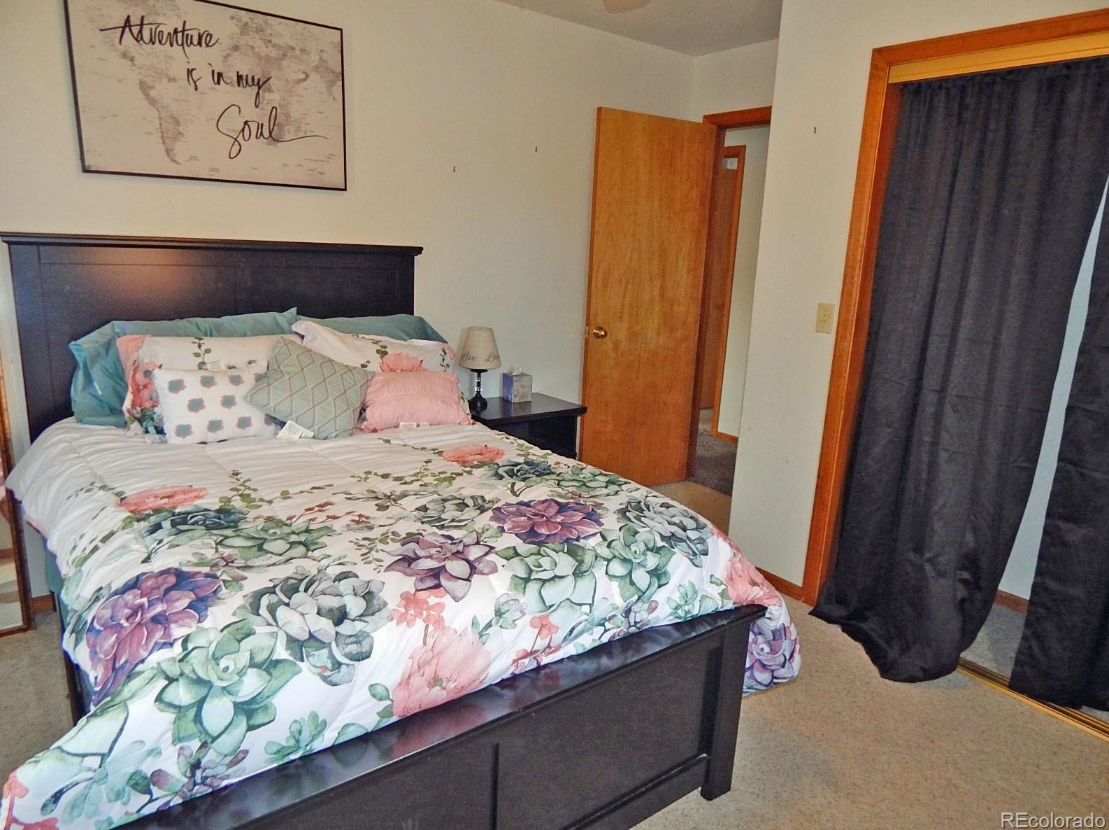 91 Connie Dr, Buena Vista CO 81211-9182 exterior