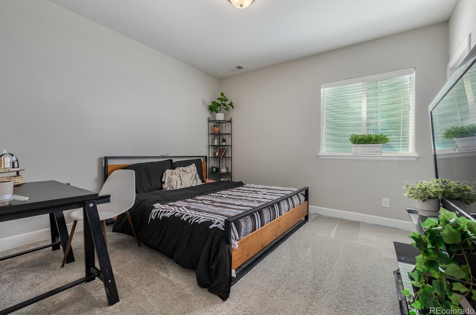 2547 Hillcroft Ln, Castle Rock CO  80104 exterior