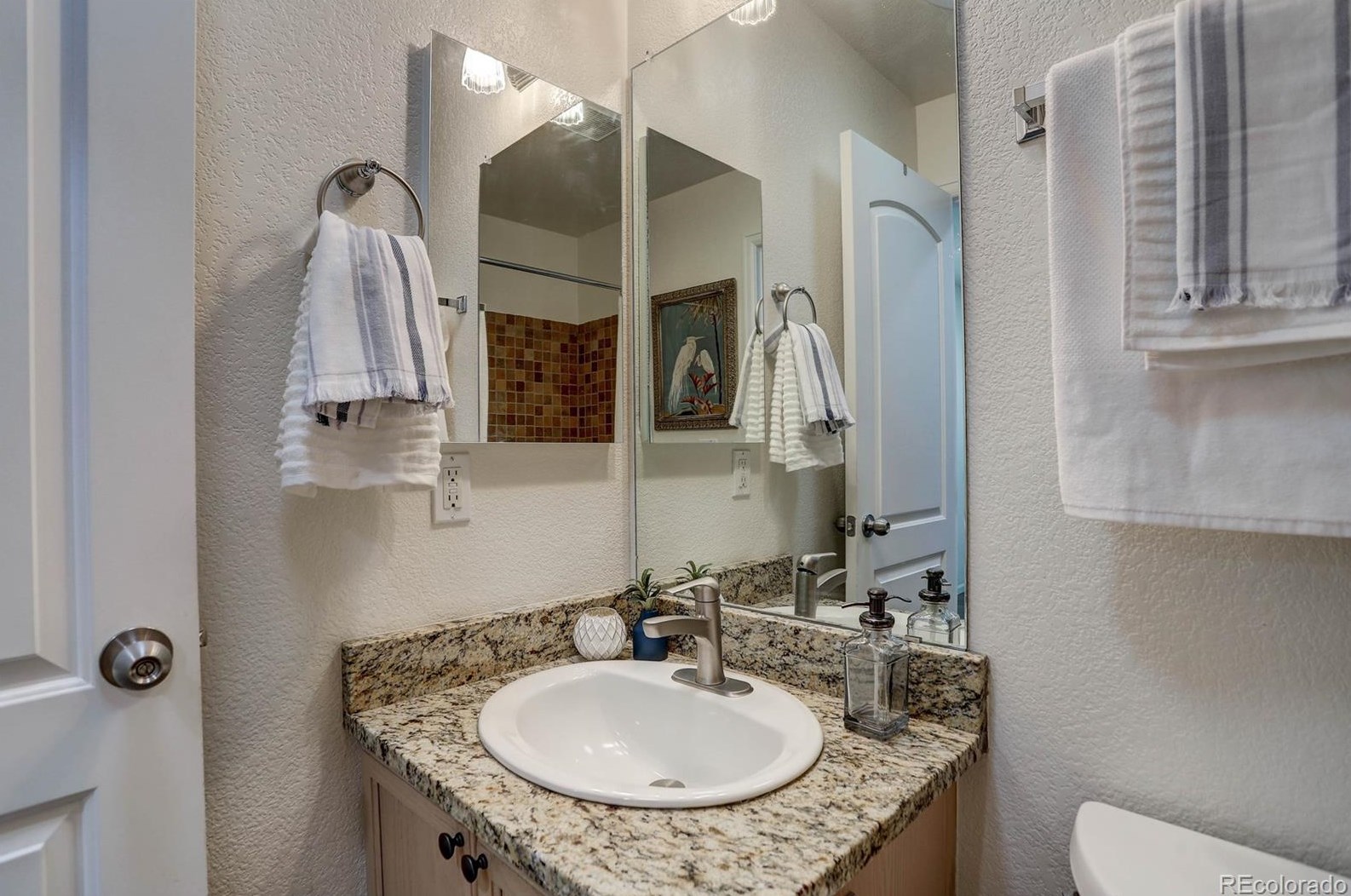 7667 Grizzly Ct, Littleton CO  80125-8414 exterior