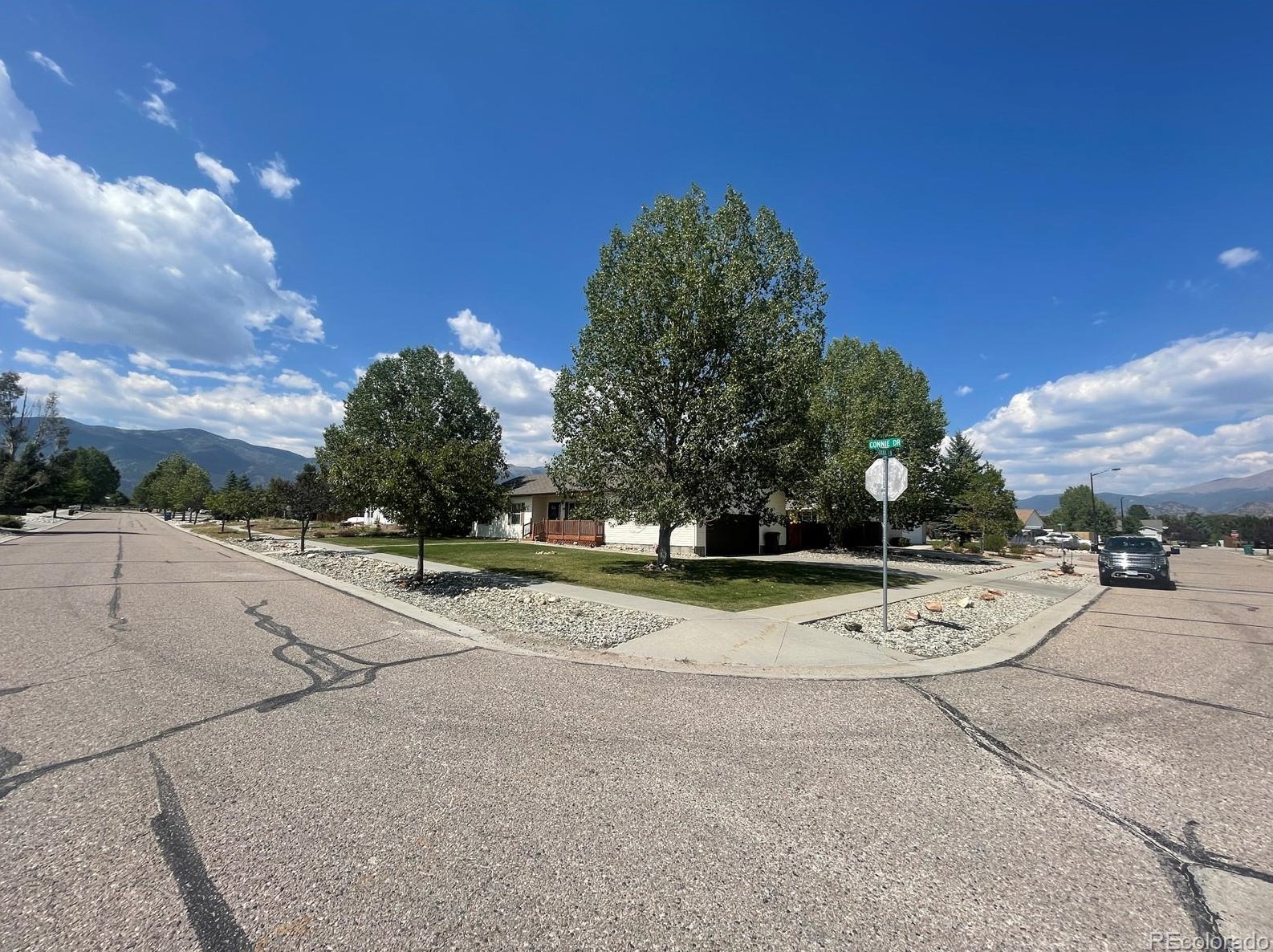 80 Connie Dr, Buena Vista, CO 81211-9187