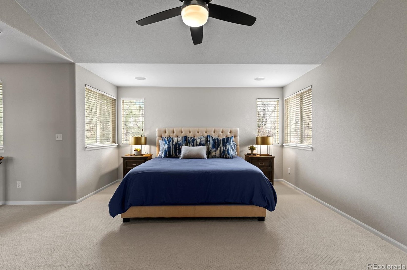 8155 Briar Cliff Dr, Castle Rock CO  80108-8215 exterior