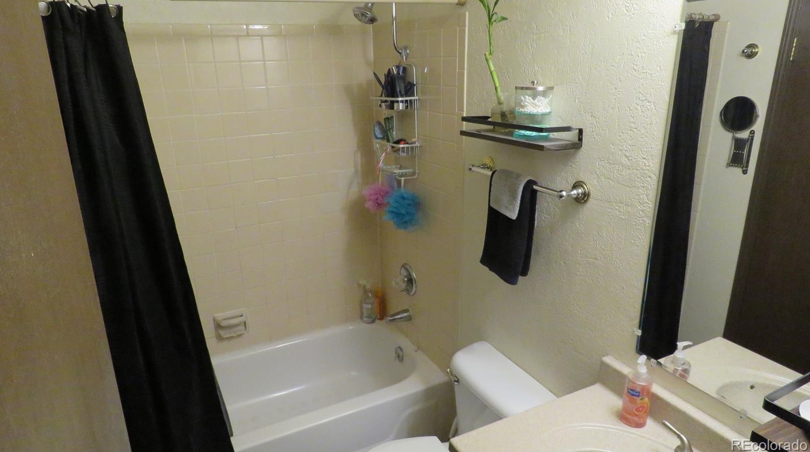 120 Surrey St, Buena Vista CO exterior