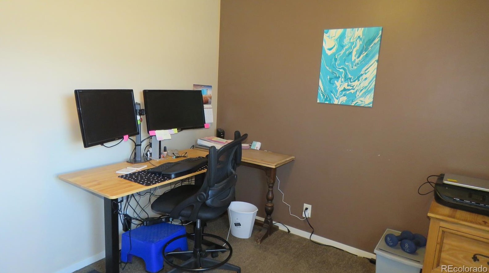 120 Surrey St, Buena Vista CO exterior