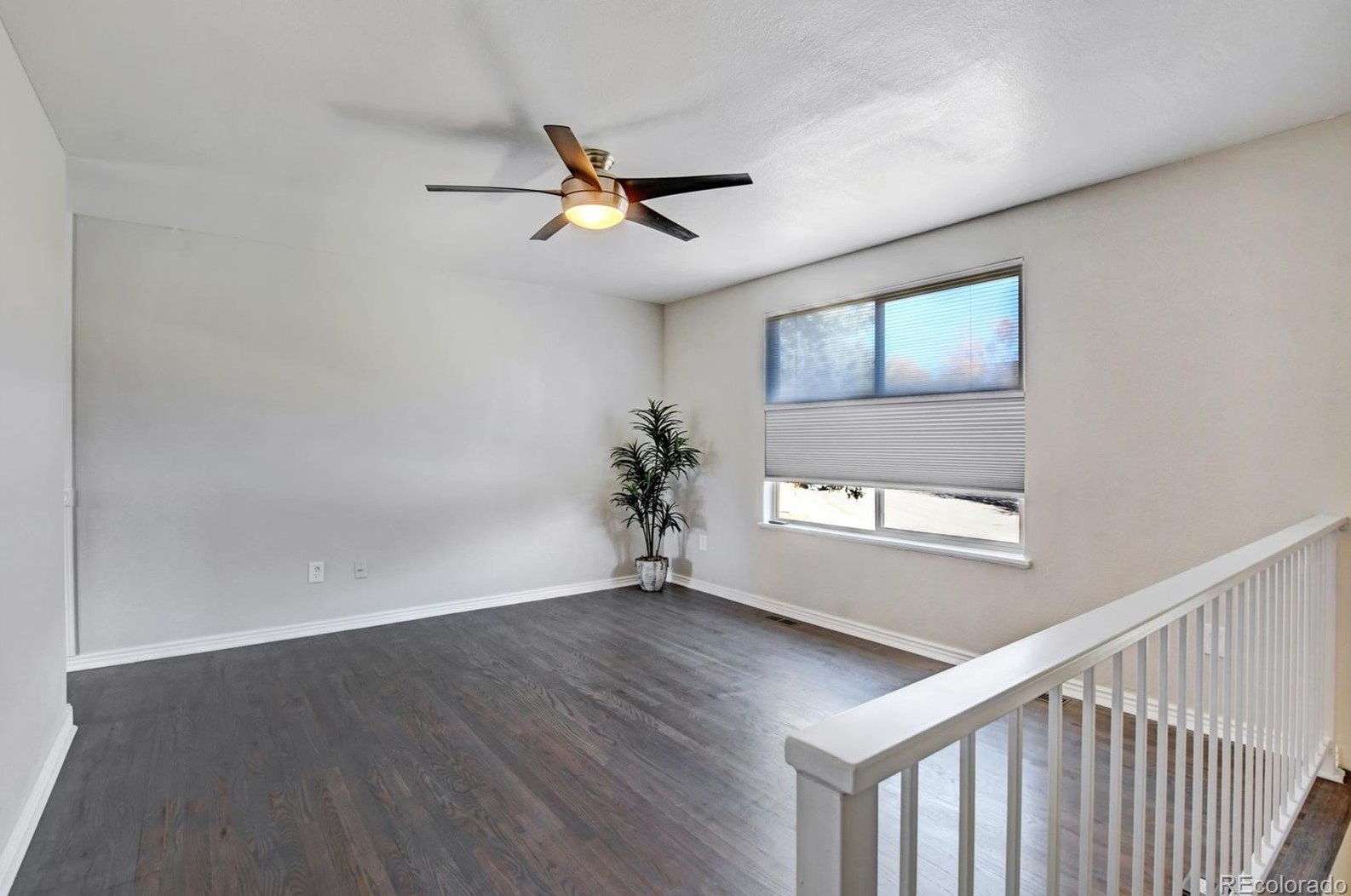 7163 Swadley Ct, Arvada CO  80004-1253 exterior