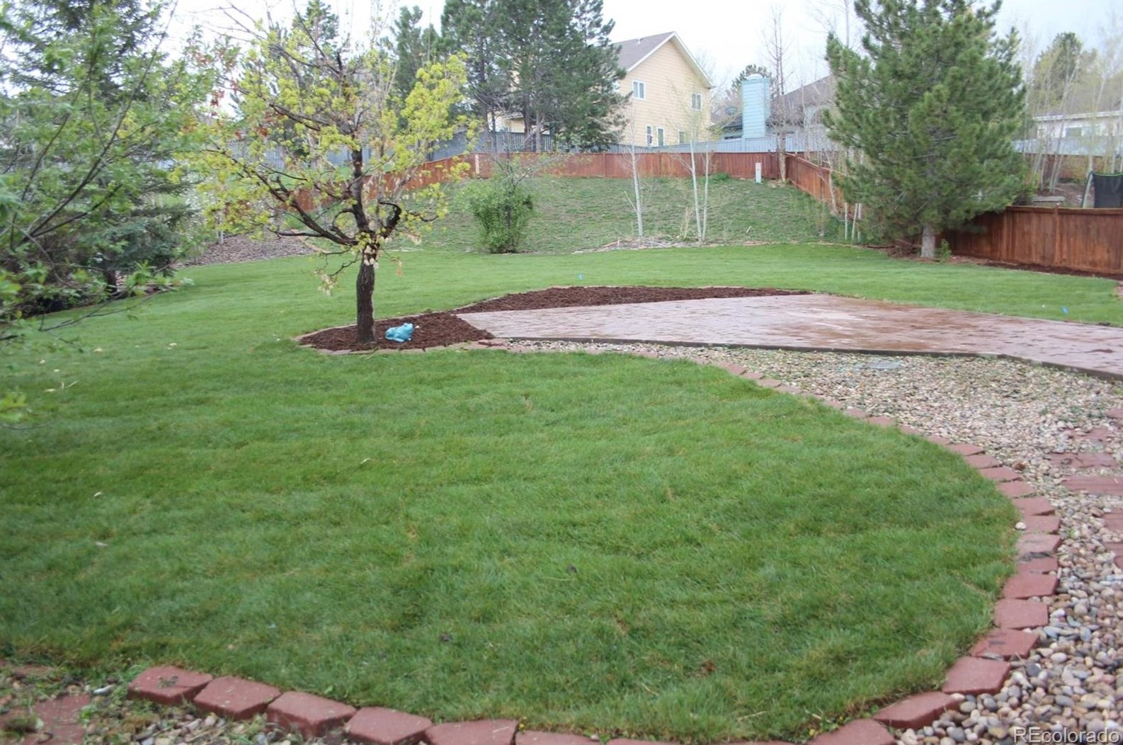 1494 Ebony Dr, Castle Rock, CO 80104-5335