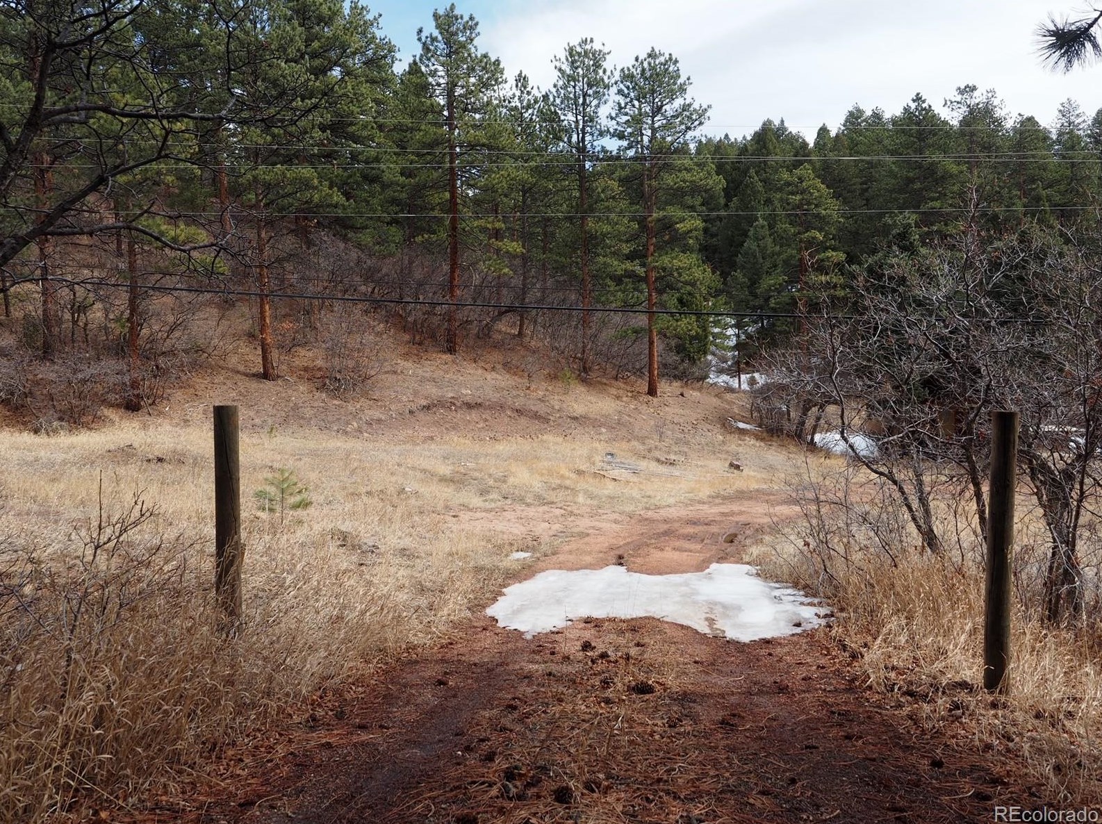 24 N County Hwy 67, Deckers, CO 80135