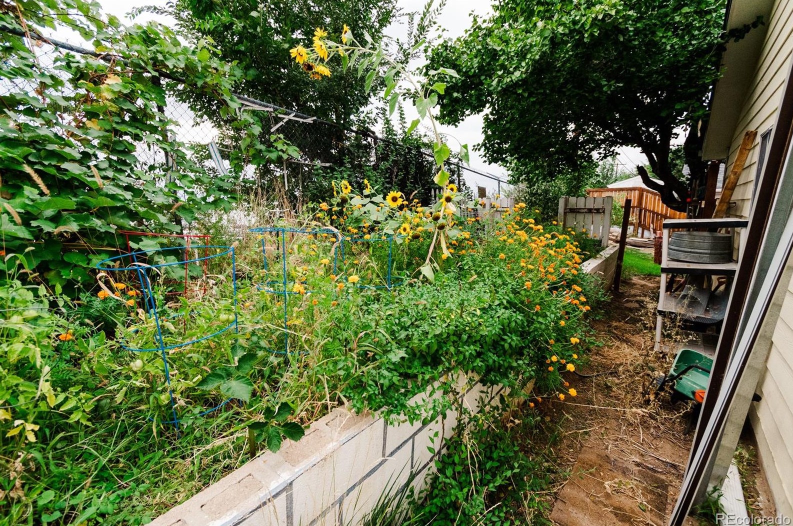 5241 Sherman St, Littleton CO 80121-1034 exterior