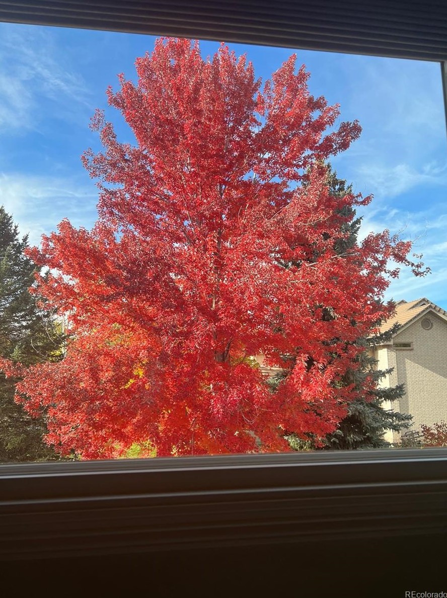 32 Lark Bunting Ln, Littleton CO 80127-2207 exterior