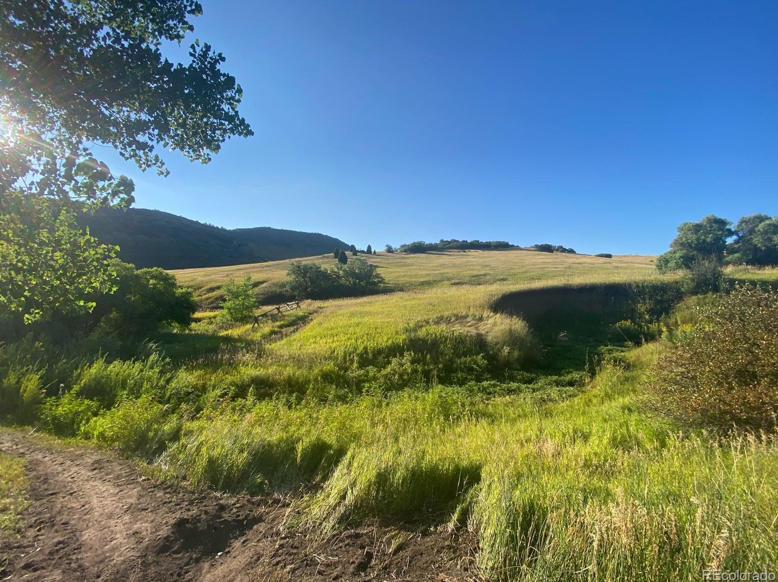 32 Lark Bunting Ln, Littleton CO 80127-2207 exterior