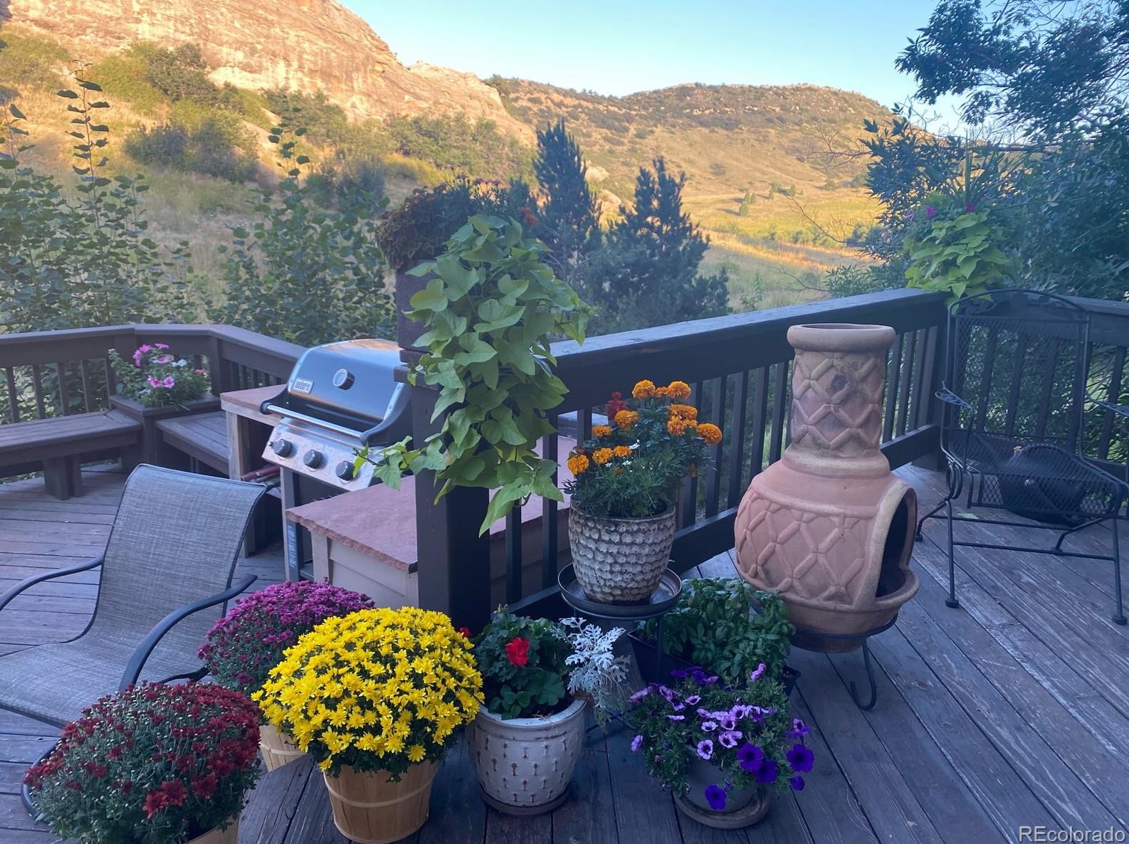 32 Lark Bunting Ln, Littleton CO 80127-2207 exterior