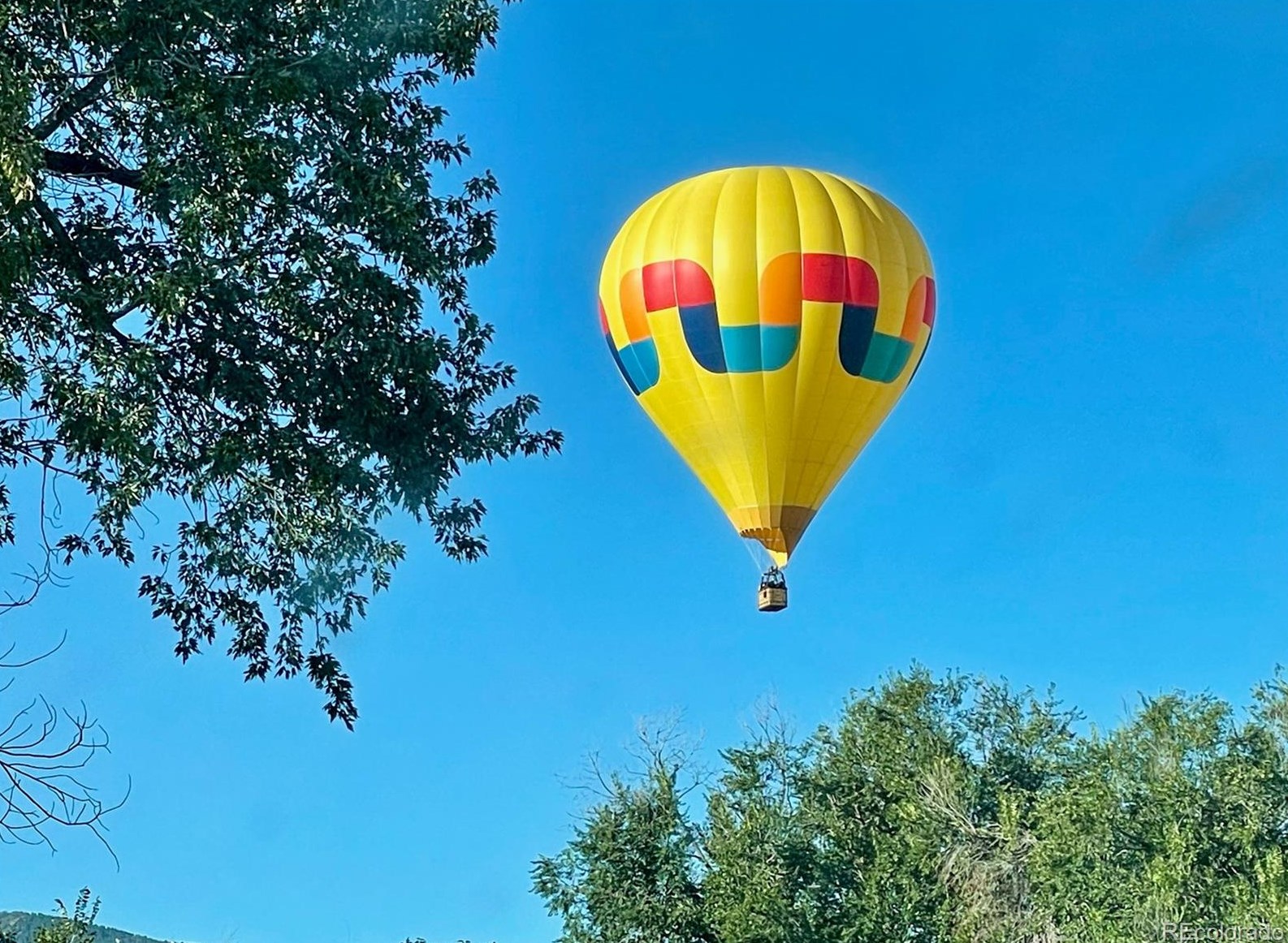 7834 Friend Dr, Littleton CO 80128-5546 exterior