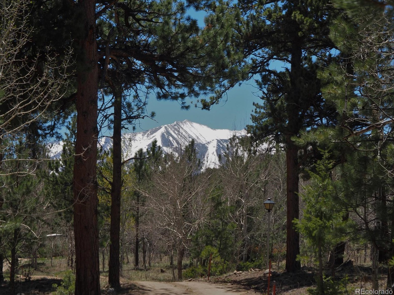 18850 Fir Dr, Buena Vista, CO 81211-8792